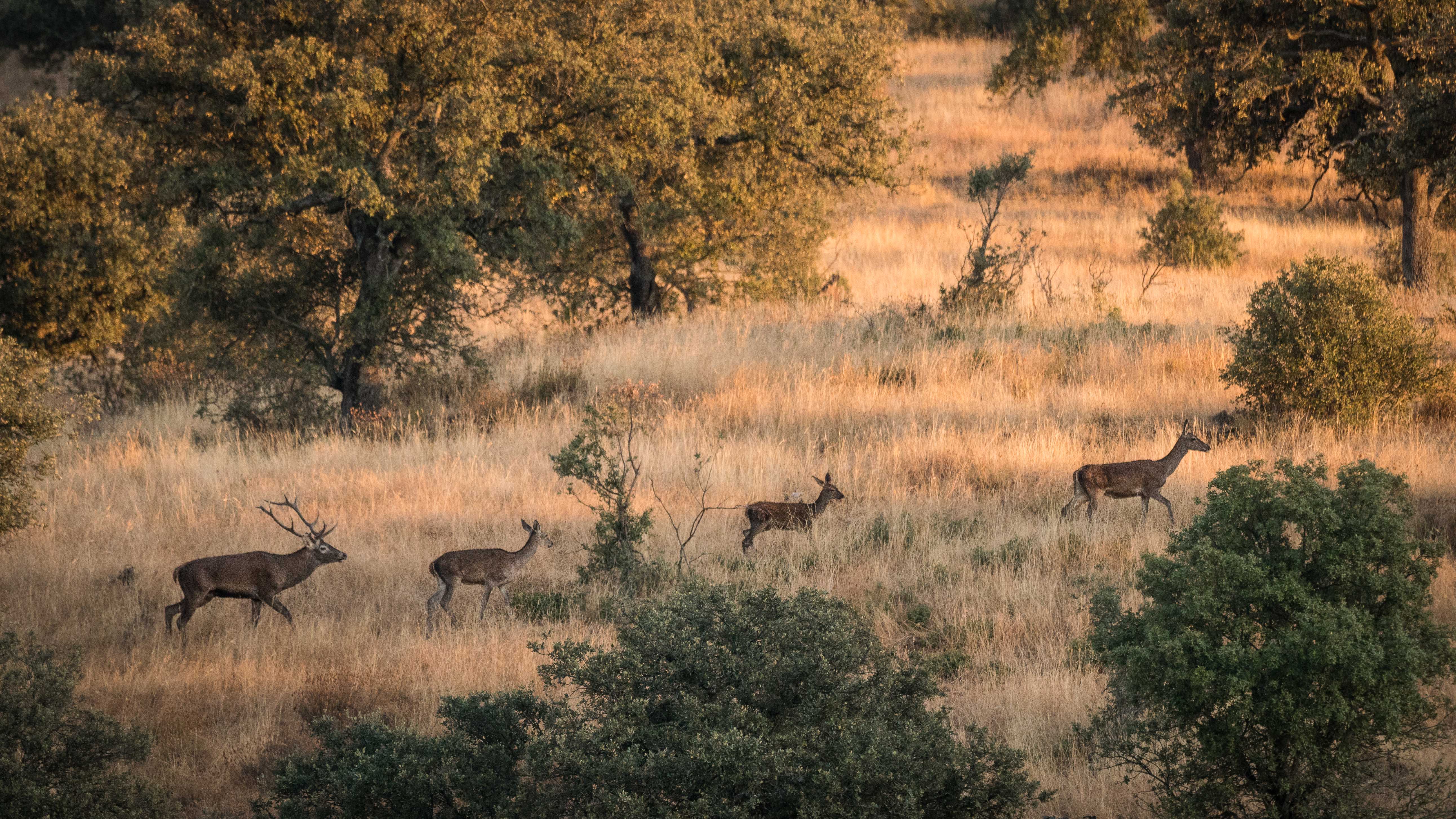 2016-09-10-201748-berrea-42593